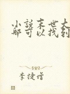 小说末世大回炉哪可以找到