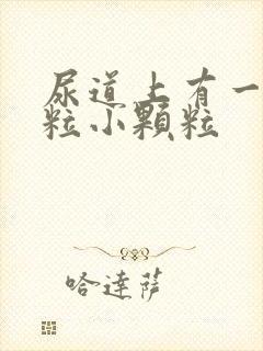 尿道上有一粒一粒小颗粒