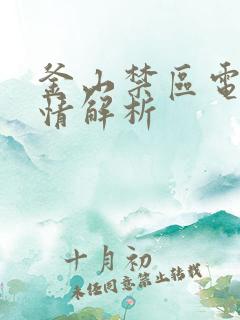 釜山禁区电影剧情解析