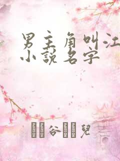 男主角叫江盛的小说名字