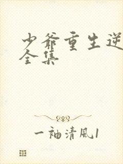 少爷重生逆袭记全集