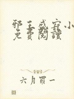 邪王盛宠小毒妃免费阅读