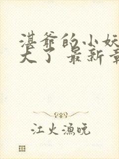 湛爷的小妖精长大了 最新章节