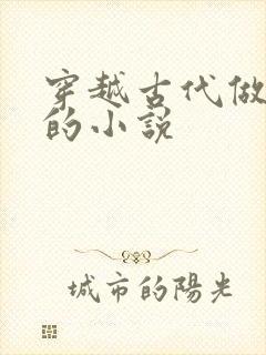 穿越古代做赘婿的小说