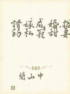 错嫁成婚,总裁的私宠甜妻