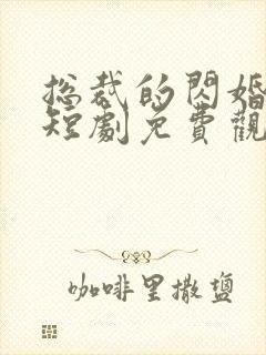 总裁的闪婚甜妻短剧免费观看