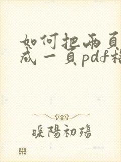 如何把两页合并成一页pdf格式?