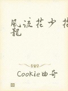 风流花少 花睿龙