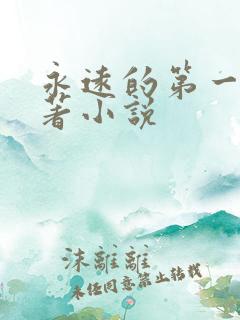 永远的第一名原著小说