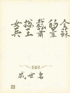 女总裁的全能型兵王萧晨苏晴