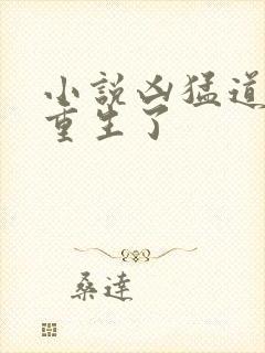 小说凶猛道侣也重生了