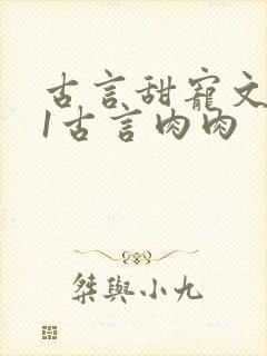 古言甜宠文1v1古言肉肉