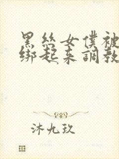 黑丝女仆被主人绑起来调教