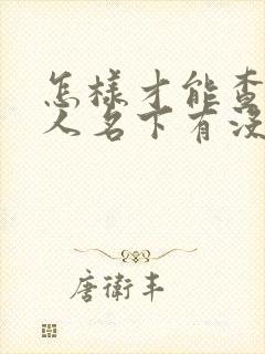 怎样才能查到个人名下有没有车