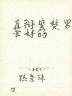 直掰弯双男主文笔好的