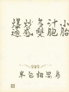 爆炒多汁小美人通感双胞胎