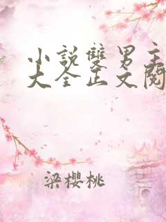 小说双男主免费大全正文阅读同人文