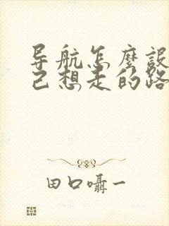 导航怎么设置自己想走的路线