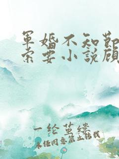 军婚不知节制地索要小说顾念