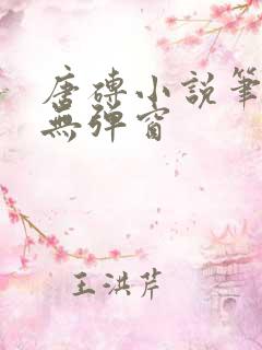 唐砖小说笔趣阁无弹窗