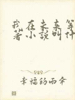 我在未来等你原著小说叫什么