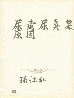 尿黄尿臭是什么原因