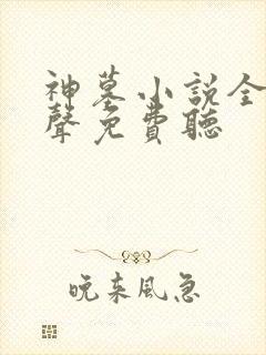 神墓小说全集有声免费听