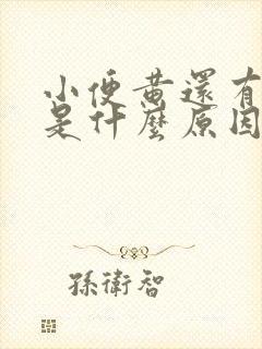 小便黄还有异味是什么原因引起的