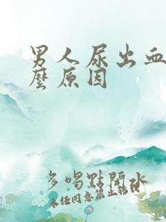 男人尿出血是什么原因