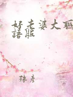好老婆大联盟国语版