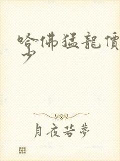 哈佛猛龙价格多少