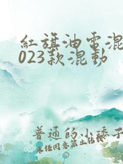 红旗油电混动2023款混动