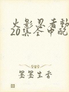 火影忍者动漫720集全中配版免费观看