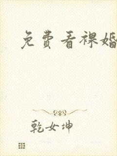 免费看裸婚时代