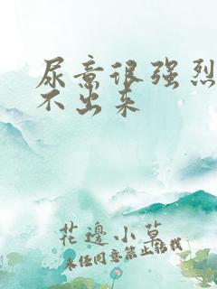 尿意很强烈却尿不出来