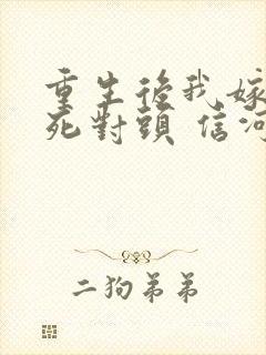 重生后我嫁给了死对头 信河