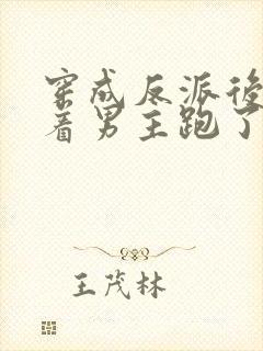 穿成反派后我扛着男主跑了小说