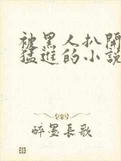 被黑人扒开双腿猛进的小说