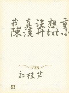 我真没想重生啊陈汉升txt小说下载