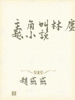 主角叫林尘的穿越小说