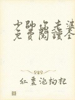 少帅你老婆跑了免费阅读全文