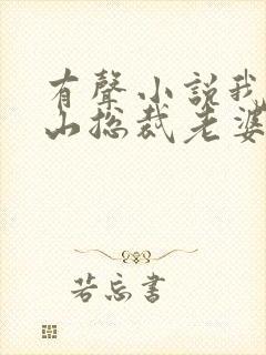 有声小说我的冰山总裁老婆