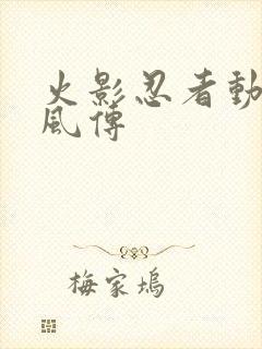 火影忍者动画疾风传