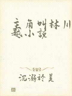 主角叫林川的穿越小说