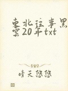 东北往事黑道风云20年txt