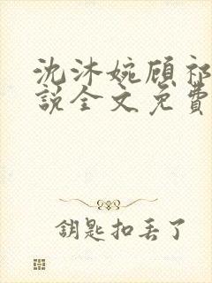 沈沐婉顾祁安小说全文免费阅读