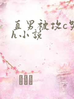 直男被攻c哭高h小说