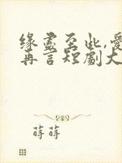 缘尽至此,爱不再言短剧大结局