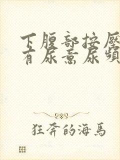 下腹部按压疼痛有尿意尿频