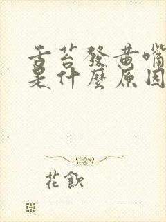 舌苔发黄嘴发苦是什么原因